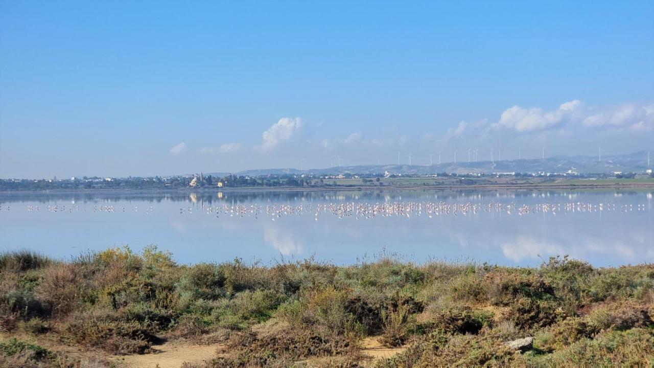 Cozy Beach Apt / 100 Mbit+ Netflix / Near Airport Larnaca Exterior foto